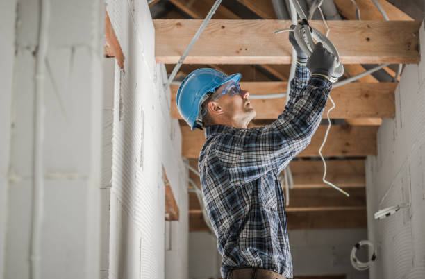 Best Electrical Upgrades for Homes  in Baldwin, GA